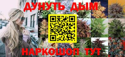 Альфа ПВП Сланцы