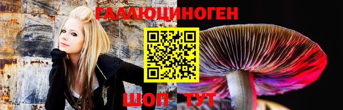 Галлюциногенные грибы ЛСД  Вход с VPN  Светлоград 